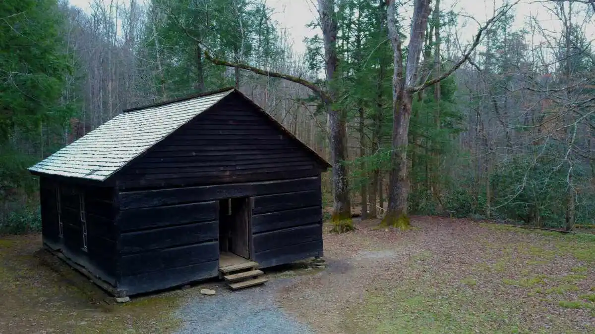 A rustic outdoor sauna cabin in a forest clearing, ideal for exploring how much does an outdoor sauna cost and what features add value.